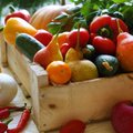 Sezoninės daržovės stiprina imunitetą