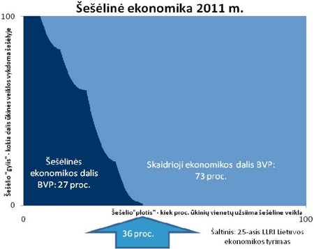 šešėlinė ekonomika 2011 m.