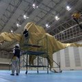 Tokijuje sukurtas didžiausias pasaulyje dinozauro formos origamis