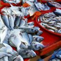 Klaipėdos žuvininkystės produktų aukciono gali nebelikti
