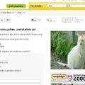 Už 6000 eurų lietuviams siūloma įsigyti kengūrų