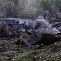 В Греции разбился Ан-12 украинской компании с неизвестным грузом