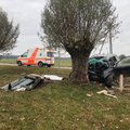 Tragiška avarija Pasvalio rajone: automobilis rėžėsi į medį, vairuotojas – žuvo
