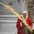 Popiežius dėl koronaviruso tragedijos Verbų sekmadienio mišias transliavo internetu