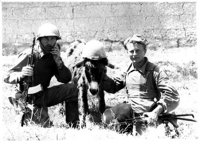 Afganistano kariai. Zigmas Stankus
