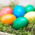 Įspėja dėl populiarių kiaušinių dažų: kai kurie priedai siejami net su vėžiniais susirgimais