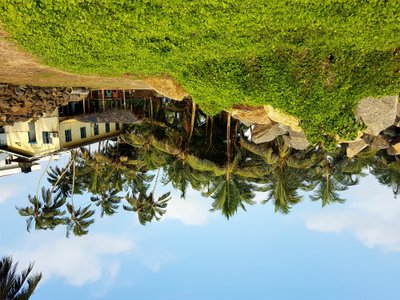 Edvardo Žičkaus atostogos Šri Lankoje