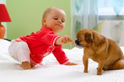 Vaiko ir šuns bendravimas