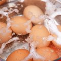 Ką reiškia kiaušinių žymėjimas?