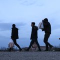 Pokalbis su Daiva Žeimyte-Biliene: ar tikrai reikia bijoti nelegalių migrantų?