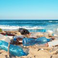 Leonidas Beršidskis. Uždrausti plastikinių šakučių neužtenka, Europa turi veikti ryžtingiau