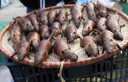 Keptos žiurkės vieno Kinijos kaimelio turguje