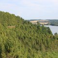 Šioje Lietuvos vietoje tiesiog privalo apsilankyti gamtos mylėtojai: pakerės ne tik vaizdas, bet ir kvapas