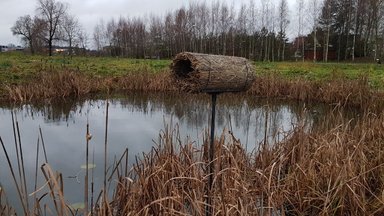 Utenos parkuose – ypatingi paukščių namai: pasirūpino stambiaisiais sparnuočiais