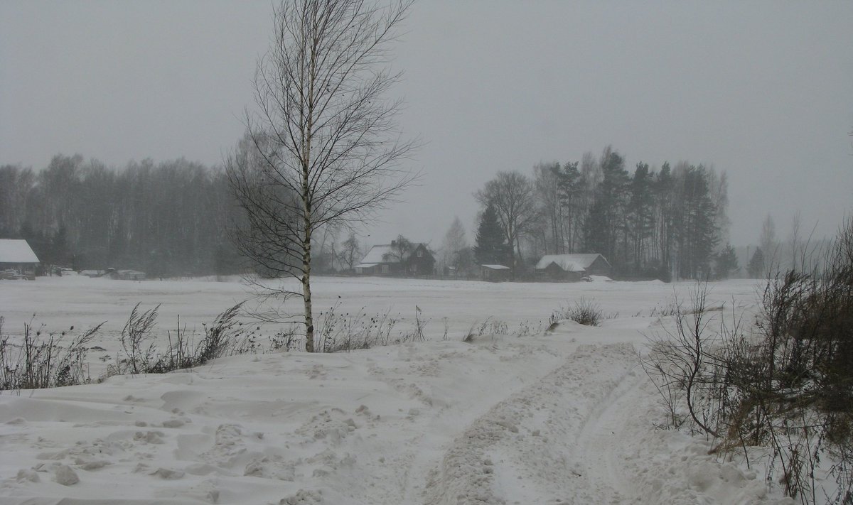 Kauno rajono keliai, pusnys, sniegas, pūga