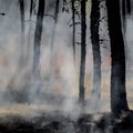 Sibire siaučia „zombių gaisrai“: net 50 laipsnių šaltis nesustabdo ugnies