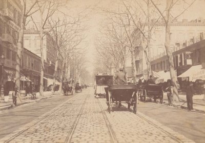 B. H. Tiskeviciaus fotografija (FM archyvas)