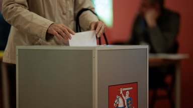 Pasaulio lietuvių bendruomenės pirmininkė nurodė, kodėl referendumas nepavyko