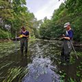 Upes ir ežerus tyrę mokslininkai pasiūlė, kaip sumažinti hidroelektrinių poveikį ir padidinti žuvų populiaciją