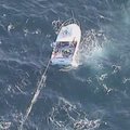 Gelbėtojai Australijoje iš tinklo išlaisvino banginį