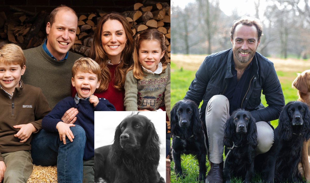 Princas Williamas, Kate Middleton su šeima, James Middleton
