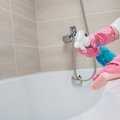 Namų tvarkytoja pasidalijo profesinėmis paslaptimis: žmonės visai nemoka valyti vonios kambario