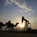 Rinkas pasiekia pirmieji naftos gavybos apimčių mažinimo ženklai