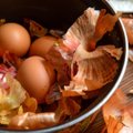 Žolininkė Adelė Karaliūnaitė kiaušinius dažo ne tik su svogūnų lukštais, bet ir su surūdijusiais vinimis: rezultatas stebina