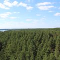 We want to balance forest policy, Lithuanian environmin says
