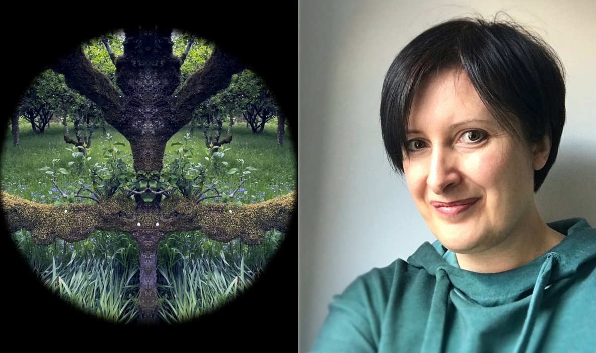Kristina Inčiūraitė. Pogulis