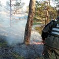 Perspėja būti atsargiems saugomose teritorijose: miškų gaisringumas didėja