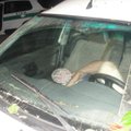 Nulaužęs medį girtas vairuotojas užmigo automobilyje