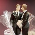 Katalikiška šalis rengs referendumą dėl homoseksualų santuokų