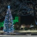 Kalėdų eglės sužibo ir Estijoje: pasigrožėkite padabintomis žaliaskarėmis
