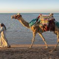 Už kabinėjimąsi prie turistų Egipto prekeiviams skirs baudas
