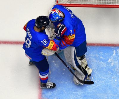 Pasaulio ledo ritulio IA čempionatas: Lietuva - Pietų Korėja (Foto: Maratas Akimžanovas)