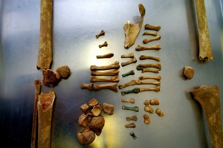 Paleoantropologiniai tyrimai