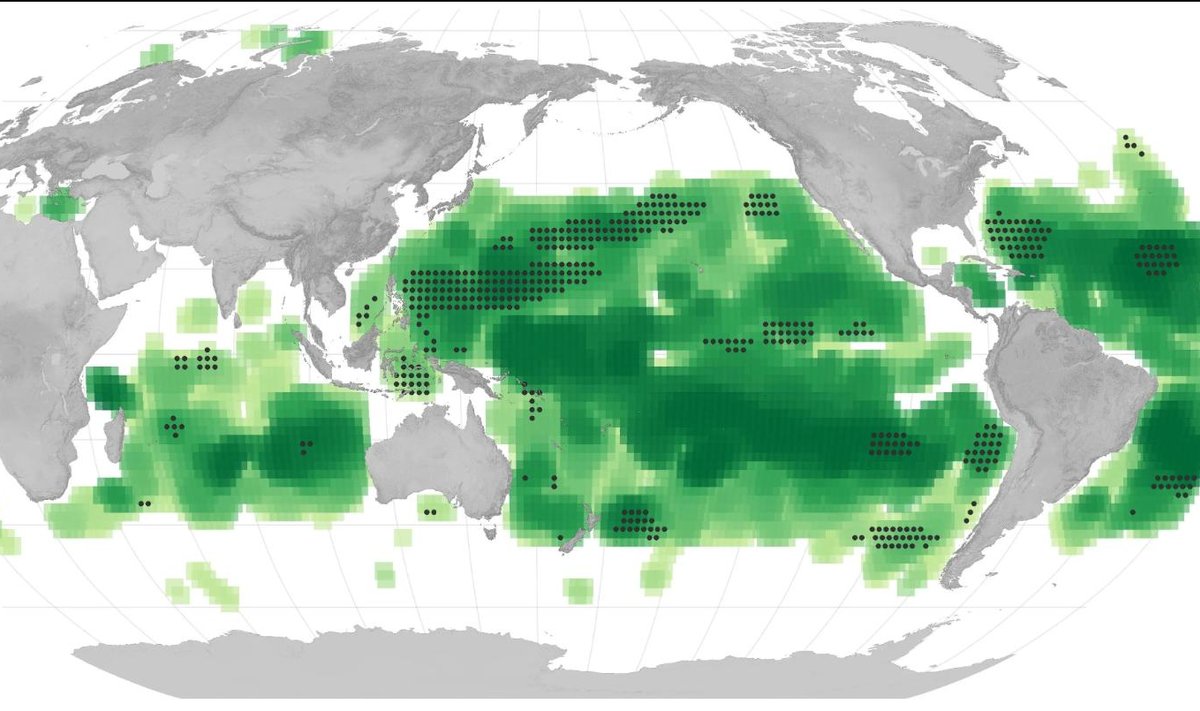 Sparčiai keičiasi vandenynų spalva. NASA Earth Observatory/Wanmei Liang/Cael, B. B., et al. (2023).