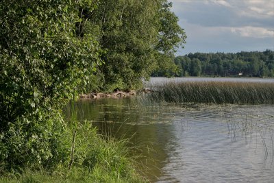 Savaitgalio aktualijos žvejams: kylantys vabzdžiai jaukia karšininkų planus, vietoj ešerio – šamas