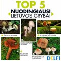 Mirtis miške: TOP 5 nuodingiausi Lietuvos grybai