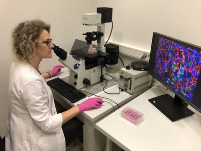 LSMU Biochemijos laboratorijos mokslo darbuotoja dr. Kristina Škėmienė mikroskopavimo laboratorijoje atlieka ląstelių analizę.