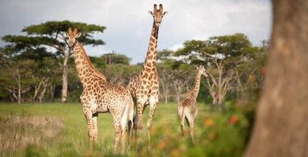 South Africa: Karkloof Safari Spa
