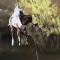 JAV sraigtasparniu iškeltas seklumoje įstrigęs arklys