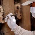 Peru archeologai rado senų žmogaus pavidalo statulų