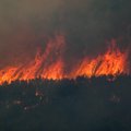 Graikijos Rodo saloje siautėjantys gaisrai – mūsų kaltė: tai gali kartotis