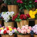 Jurbarkietė verslininkė pristato naujovę – gėlių savitarną