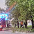 Kaune po autobuso avarijos išvartyti medžiai ir ženklai