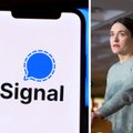 Kas yra „Signal“, kuri „pradangino“ parlamentarės žinutes į Čilę: ar tikrai nebeįmanoma žinučių atkurti