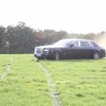 Smagus pasivėžinimas pievomis prabangiu „Rolls-Royce“