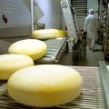 „Rokiškio sūrio“ akcininkams – 5,3 mln. eurų dividendų